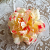 Cremehvid pæon med pink spidser - Hårpynt med blomster og perler til bryllup, konfirmation og fest