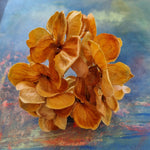 Stor hårnål med hortensia - Gylden - Hårpynt med blomster og perler til bryllup, konfirmation og fest