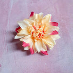 Creme dahlia med pink spidser - Hårpynt med blomster og perler til bryllup, konfirmation og fest